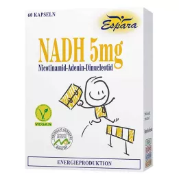 NADH Gélules de 5 mg, 60 gélules