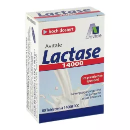 LACTASE 14.000 FCC Comprimés en distributeur, 80 unités