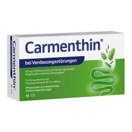 CARMENTHIN en cas de troubles digestifs msr.capsules molles, 42 pces