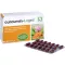 CURCUMIN-LOGES Gélules, 120 pcs