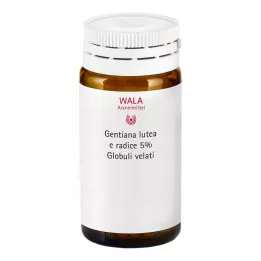 Gentiana lutea 5% teinture mère Globuli velati, 20 g
