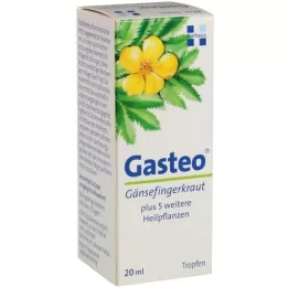 GASTEO Gouttes pour voie orale, 20 ml