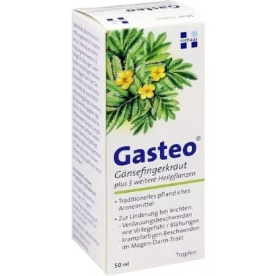 GASTEO Gouttes pour voie orale, 50 ml