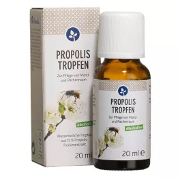 PROPOLIS TROPFEN sans alcool, 20 ml