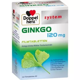 DOPPELHERZ Ginkgo 120 mg system comprimés pelliculés, 120 pc