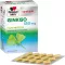 DOPPELHERZ Ginkgo 120 mg system comprimés pelliculés, 120 pc