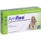 AMFLEE 134 mg Lait spot-on pour chiens de taille moyenne 10-20kg, 3pcs