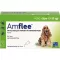 AMFLEE 134 mg Lait spot-on pour chiens de taille moyenne 10-20kg, 3pcs