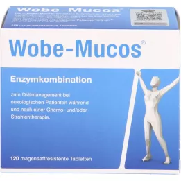 WOBE-MUCOS Comprimés gastro-résistants, 120 comprimés