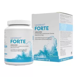 Capsules gastro-résistantes Lactobact Forte, 120 pièces