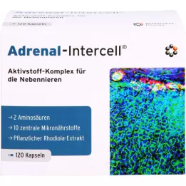 ADRENAL-Capsules Intercell, 120 pc