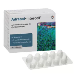 ADRENAL-Capsules Intercell, 120 pc