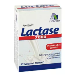 Lactase 7 000 FCC comprimés en distributeur, 80 pc