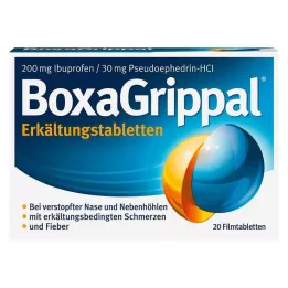 BOXAGRIPPAL Comprimés contre le rhume 200 mg/30 mg FTA, 20 pces