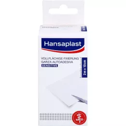 HANSAPLAST Fixation sur toute la surface 10 cmx2 m, 1 pc