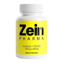 CHOLIN-INOSITOL 450/450 mg par gélule végétale, 60 gélules