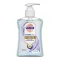 SAGROTAN Savon médical liquide pour lhygiène des mains, 250 ml