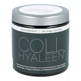 COLLHYALEEN Poudre pour solution buvable, 180 g