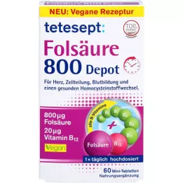 TETESEPT Acide folique 800 en comprimés à libération prolongée, 60 comprimés