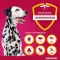 Advantix Spot-on solution chien 40 - 60 kg, 4X6,0 ml