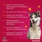 Advantix Spot-on solution chien 40 - 60 kg, 4X6,0 ml