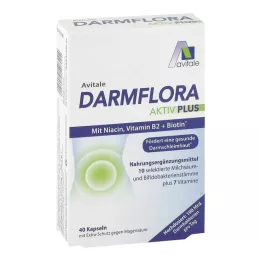 DARMFLORA Aktiv Plus 100 milliards de bactéries+7 vitamines, 40 pièces