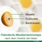 Curcumine-Loges plus capsules Boswellia, 60 pièces
