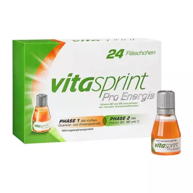 Vitasprint Pro Bouteilles dénergie, 24 pc
