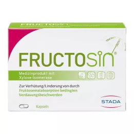 FRUCTOSIN Gélules, 90 pièces