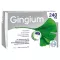Gingium 240 mg comprimés pelliculés, 120 pc