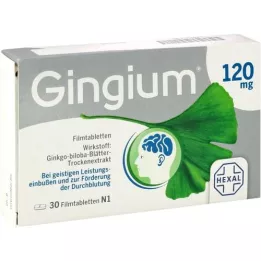 GINGIUM 120 mg Comprimés pelliculés, 30 pc