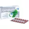 GINGIUM 120 mg Comprimés pelliculés, 60 comprimés