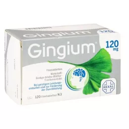 GINGIUM 120 mg Comprimés pelliculés, 120 pc