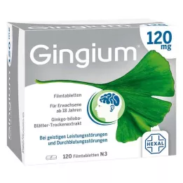 GINGIUM 120 mg Comprimés pelliculés, 120 pc