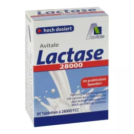 LACTASE 28.000 FCC Comprimés en distributeur, 80 pc