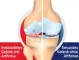 Instructions for use for GELENCIUM® arthro gouttes, 100 ml - 2