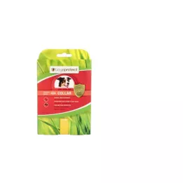 BOGAPROTECT Collier chien S-M 60 cm, 1 pc