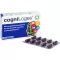 COGNILOGES Gélules, 30 pcs