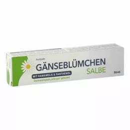 GÄNSEBLÜMCHEN Pommade à lhamamélis &amp; Panthénol, 50 ml
