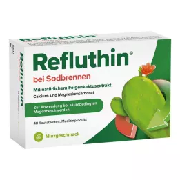 REFLUTHIN en cas de brûlures destomac comprimés à mâcher menthe, 48 pc