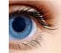 Instructions for use for HYLO NIGHT® pommade oculaire, 5 g - 7