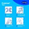 COSMOS aqua pansements adhésifs 3 tailles, 20 pces