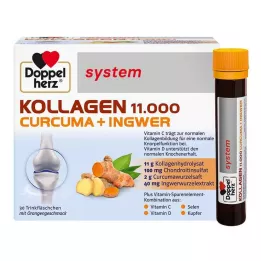 DOPPELHERZ Collagène 11.000 Curcuma+Ingw.system TRA, 30X25 ml