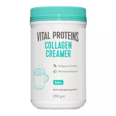 VITAL PROTEINS Poudre de collagène Creamer coco, 293 g