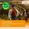 Desloratadine HEUMANN 5 mg comprimés pelliculés, 20 pc