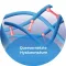 OCUTEARS Gouttes oculaires Hydro+, 10 ml