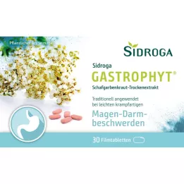 SIDROGA GastroPhyt 250 mg comprimés pelliculés, 30 comprimés