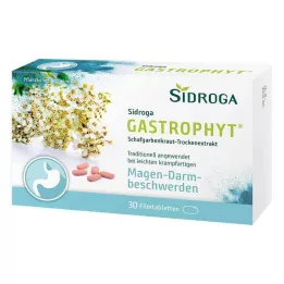 SIDROGA GastroPhyt 250 mg comprimés pelliculés, 30 comprimés