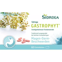SIDROGA GastroPhyt 250 mg comprimés pelliculés, 60 comprimés