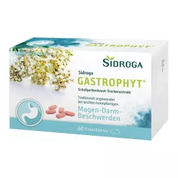 SIDROGA GastroPhyt 250 mg comprimés pelliculés, 60 comprimés